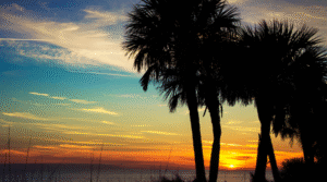 Screenshot 2025 11 14 111436