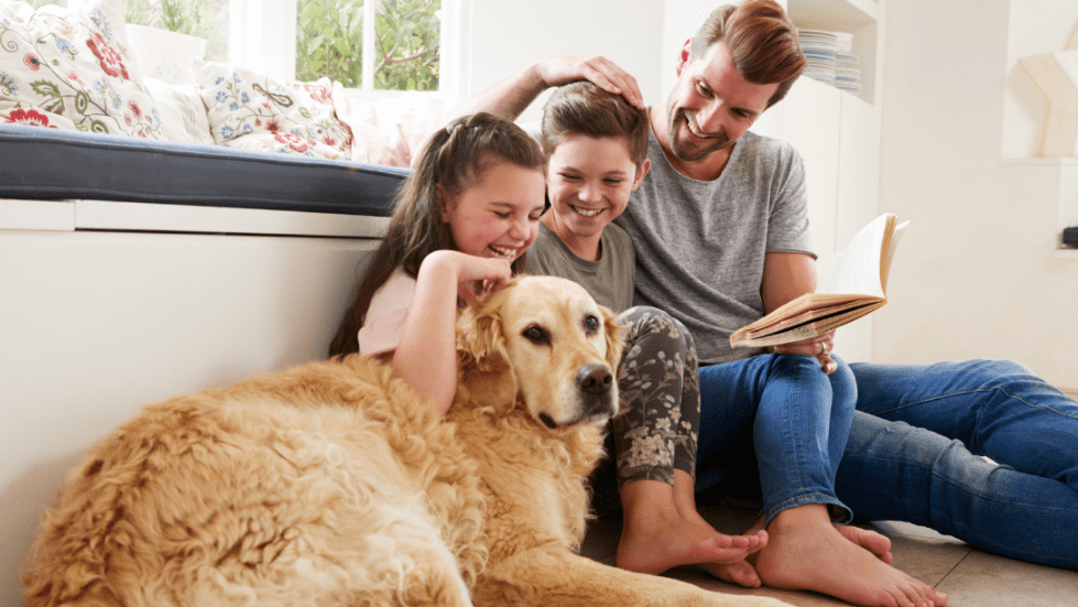 Why Does Indoor Air Quality Matter?