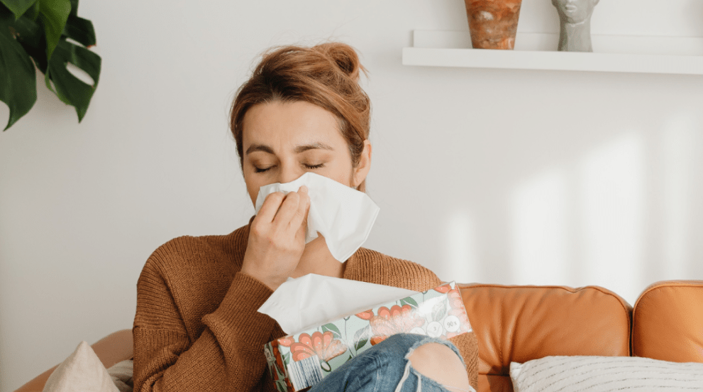 Florida allergy HVAC solutions